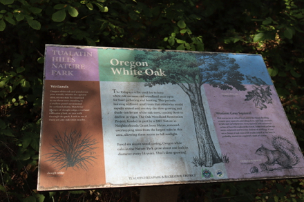 Informational display on the Ponderosa Loop Trail